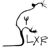 LXR