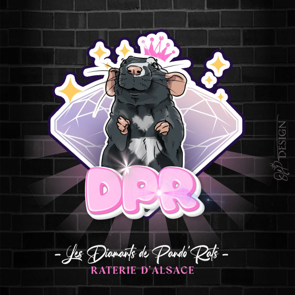 DPR