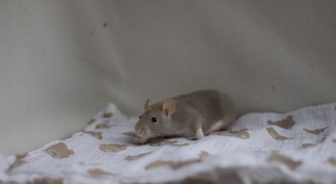 Une seule journée passée sans elle